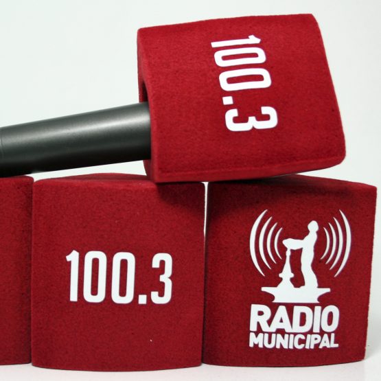 Radio municipal